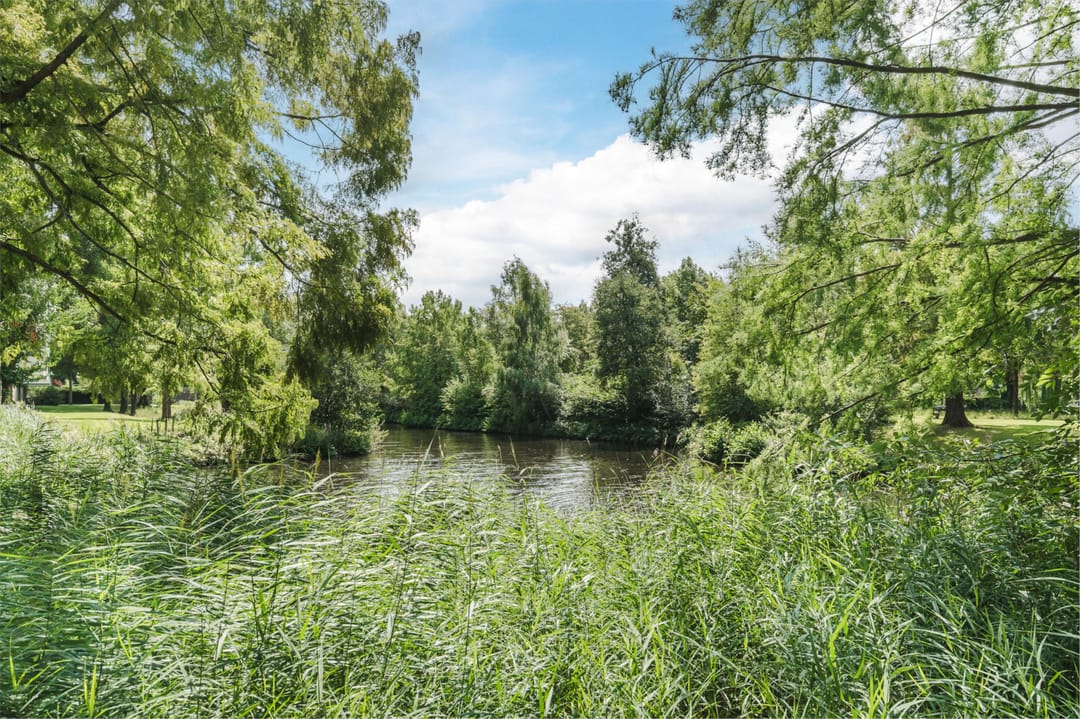 Foto 47 van Veenbesstraat 558