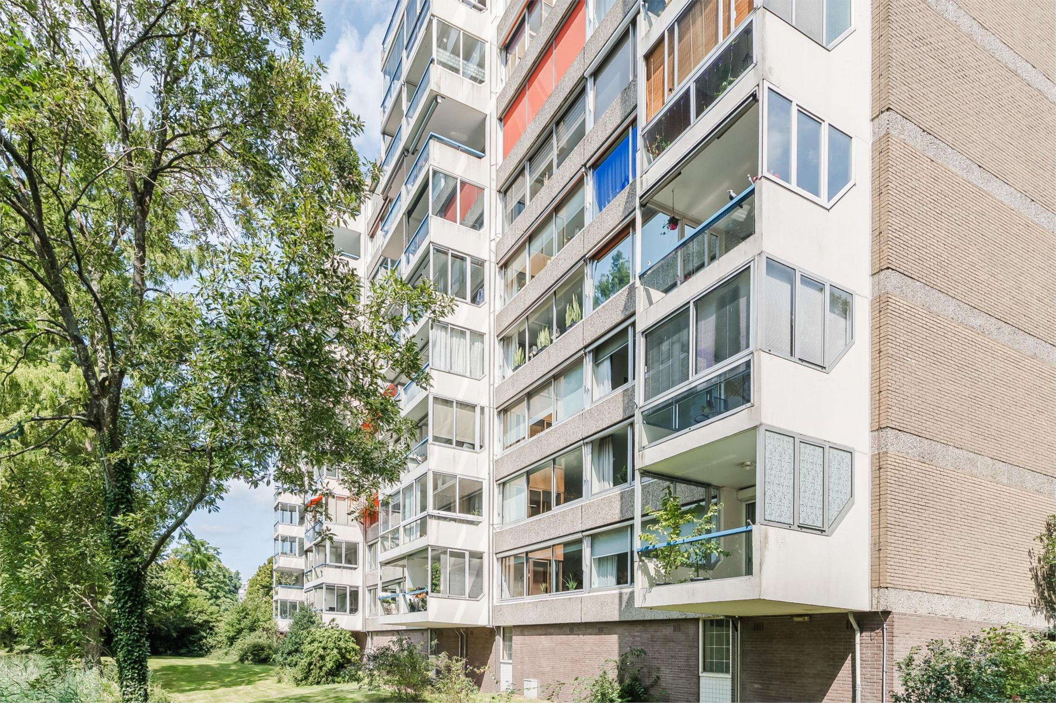 Foto 48 van Veenbesstraat 558