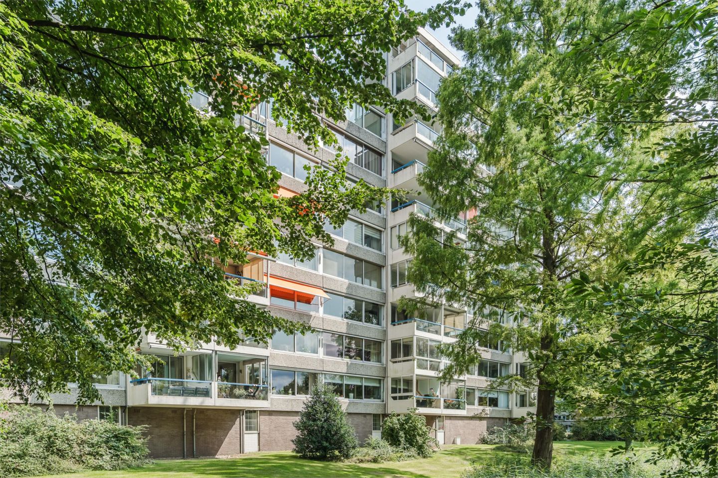 Foto 49 van Veenbesstraat 558