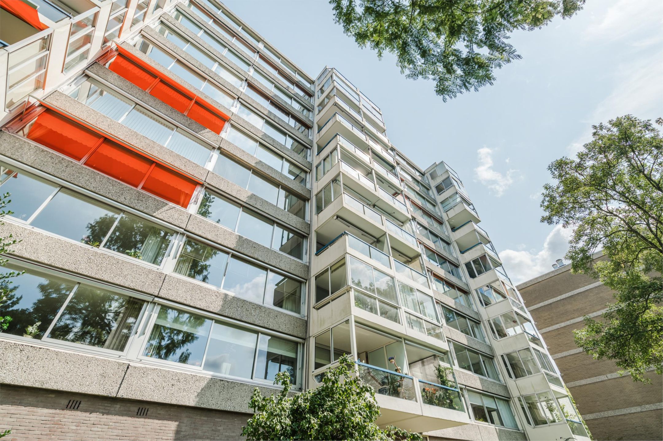 Foto 51 van Veenbesstraat 558