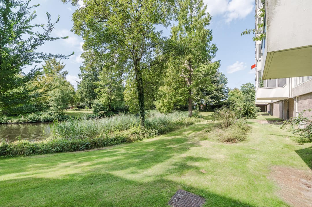 Foto 52 van Veenbesstraat 558