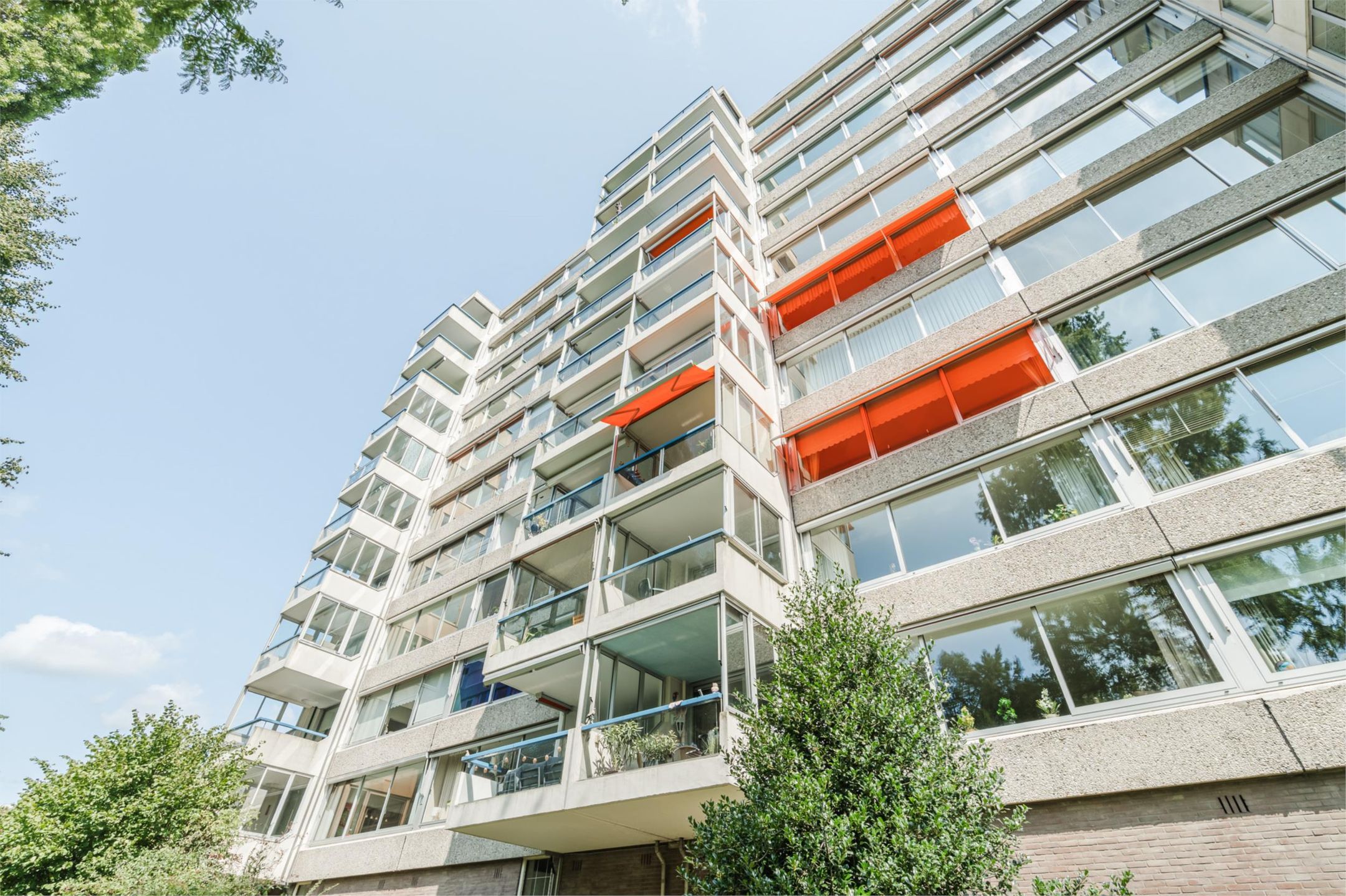 Foto 54 van Veenbesstraat 558