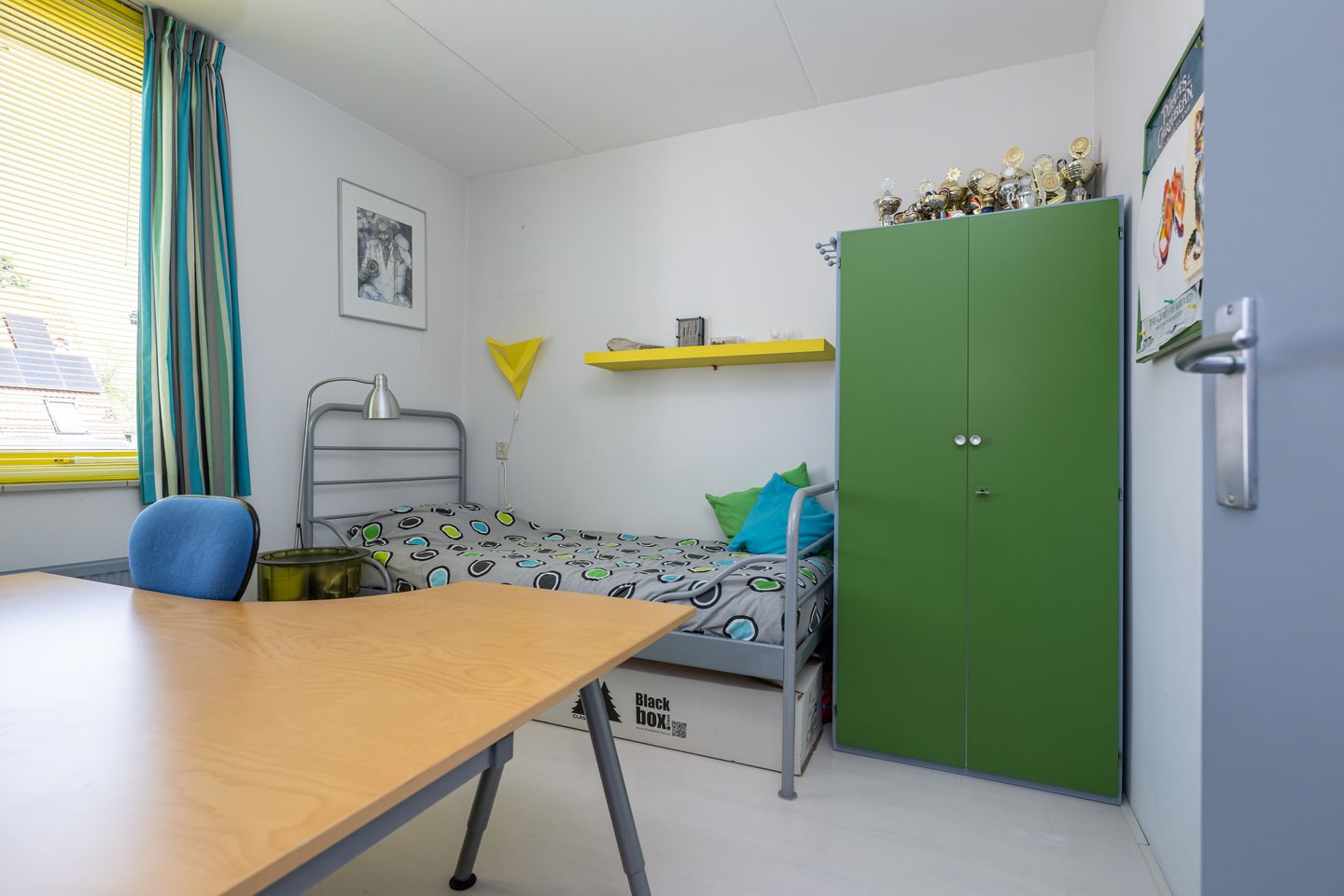 Foto 14 van Pimpelmees 15