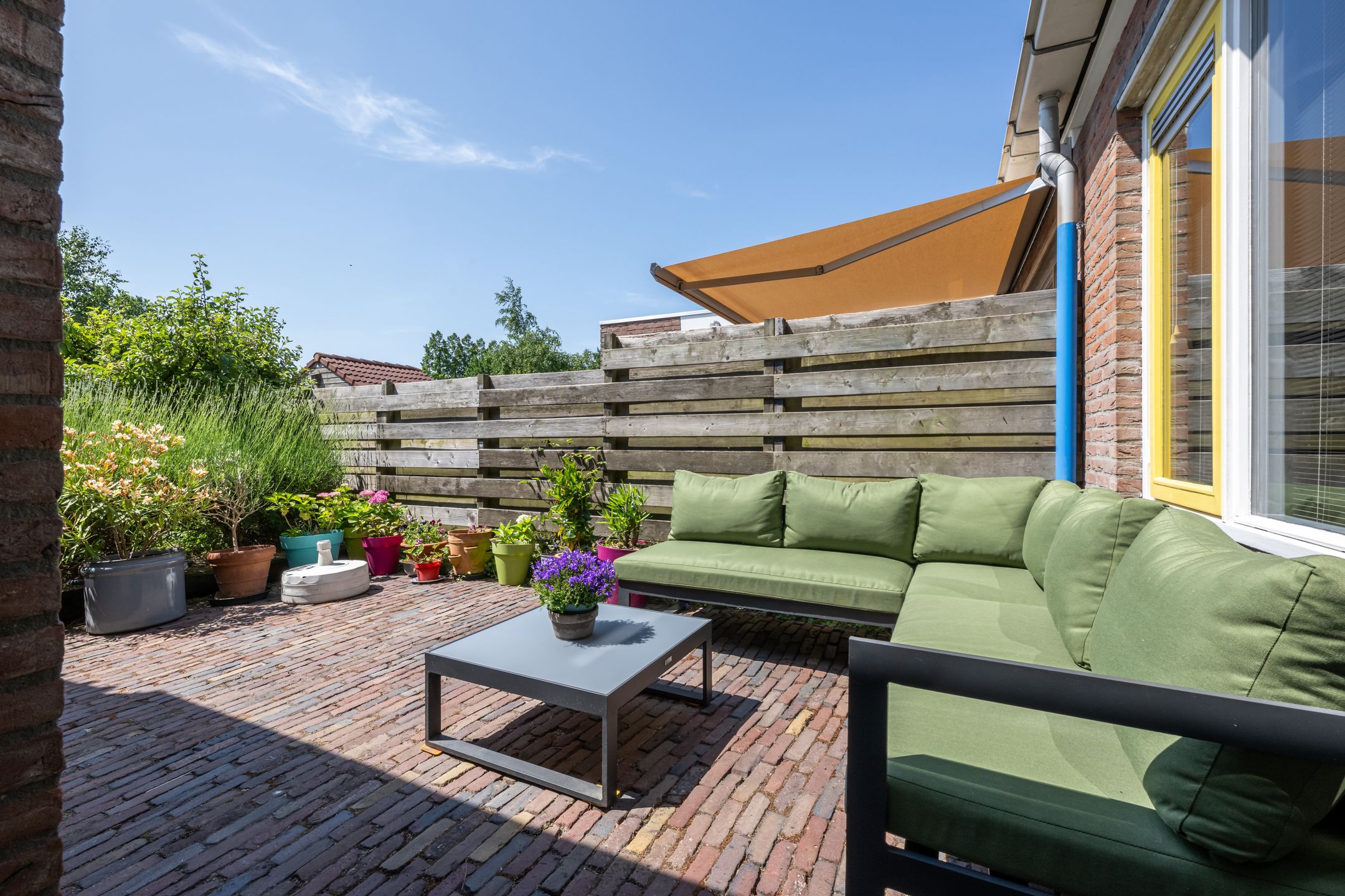 Foto 21 van Pimpelmees 15