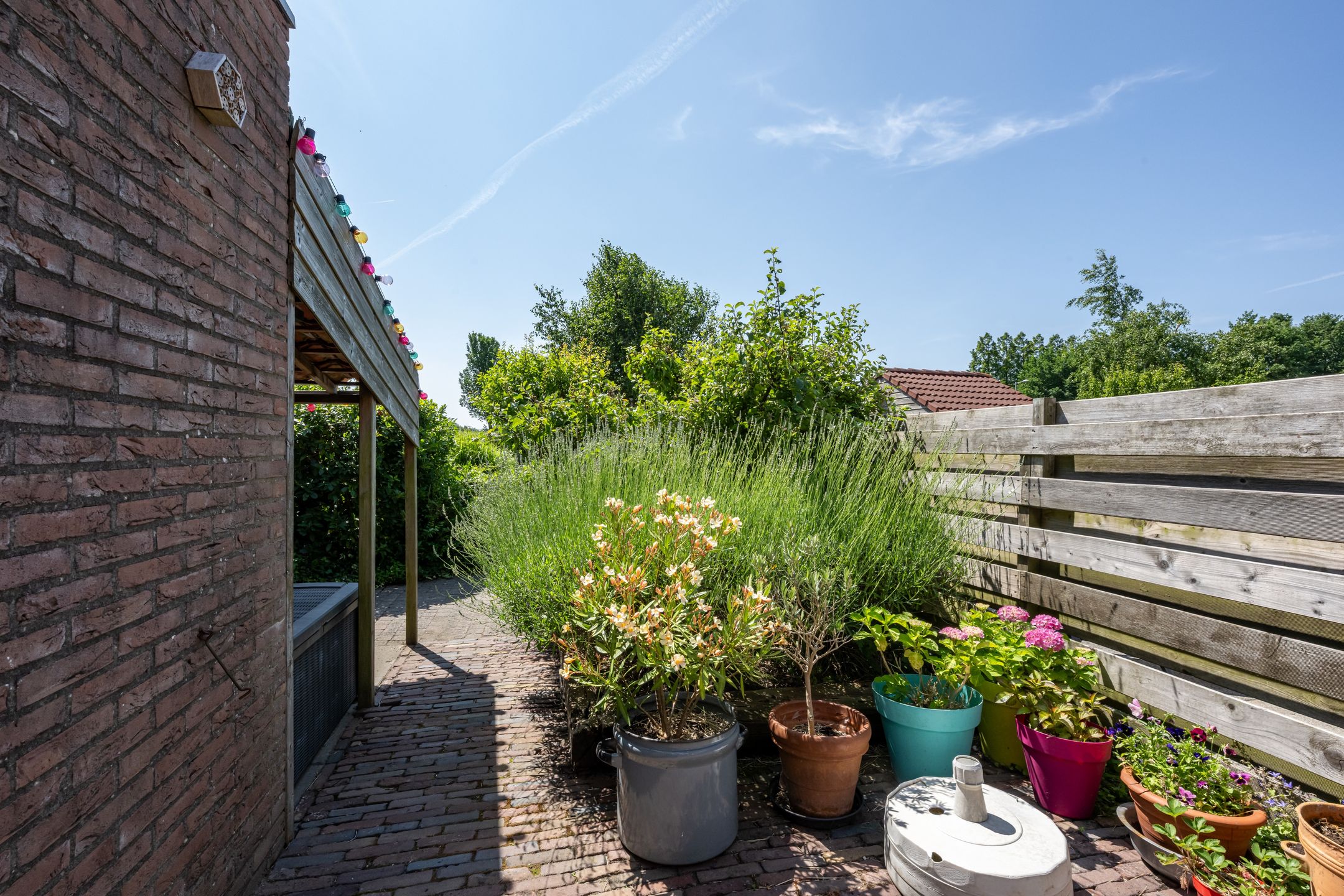 Foto 24 van Pimpelmees 15