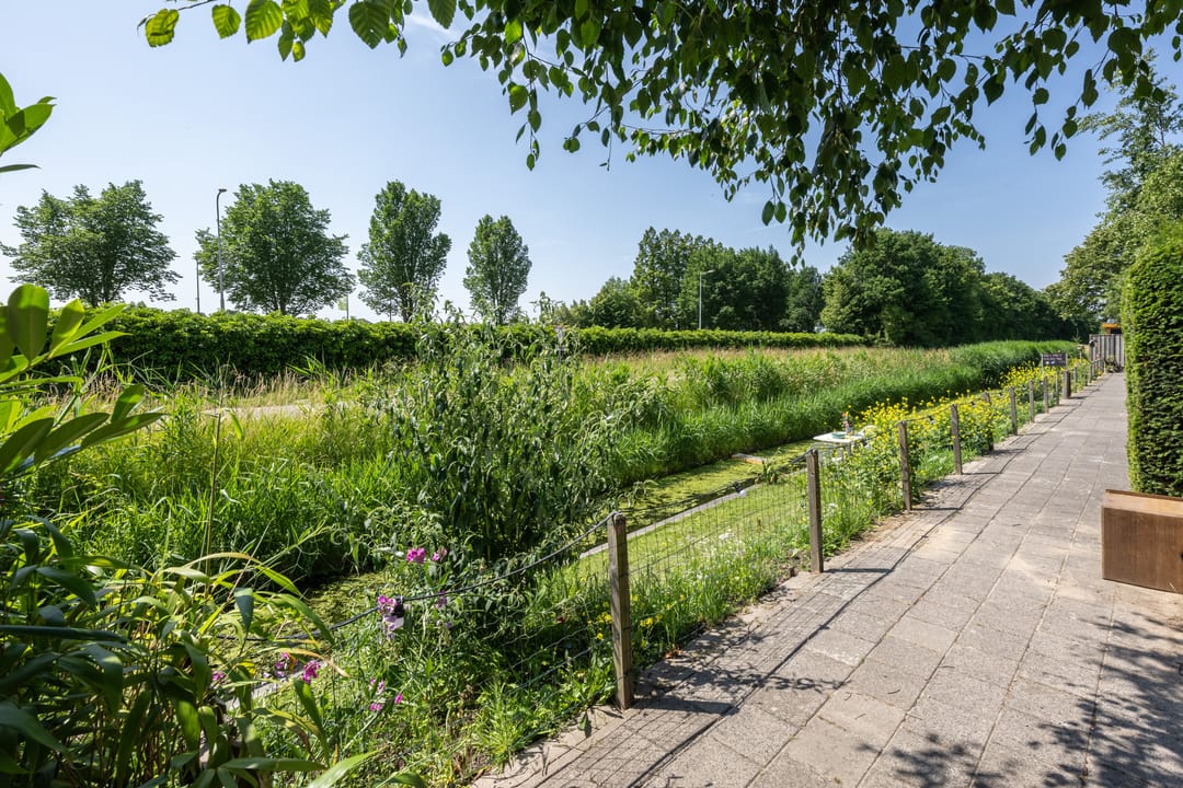 Foto 28 van Pimpelmees 15