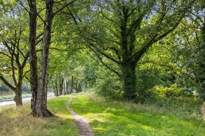 Foto 57 van Meerdijkpark 3