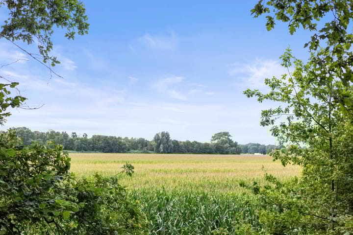 Foto 58 van Meerdijkpark 3