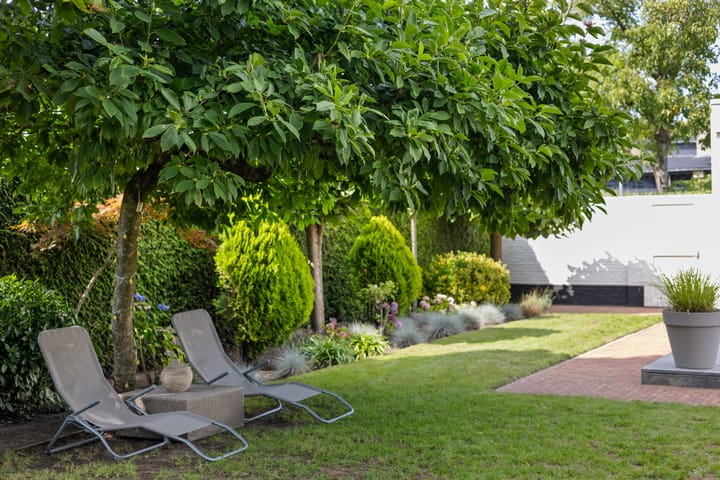 Foto 47 van Meerdijkpark 3