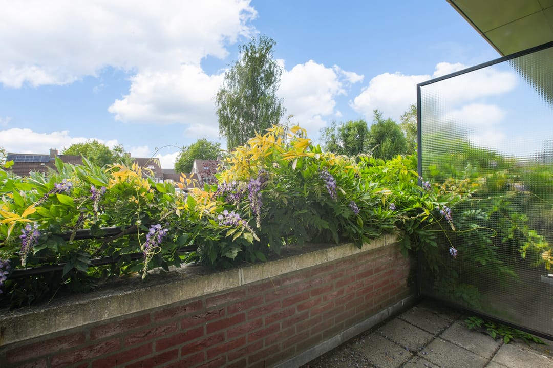 Photo 31 of Muiderzand 4