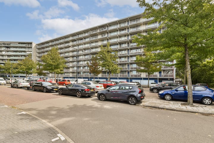 Foto 2 van Condorhorst 36