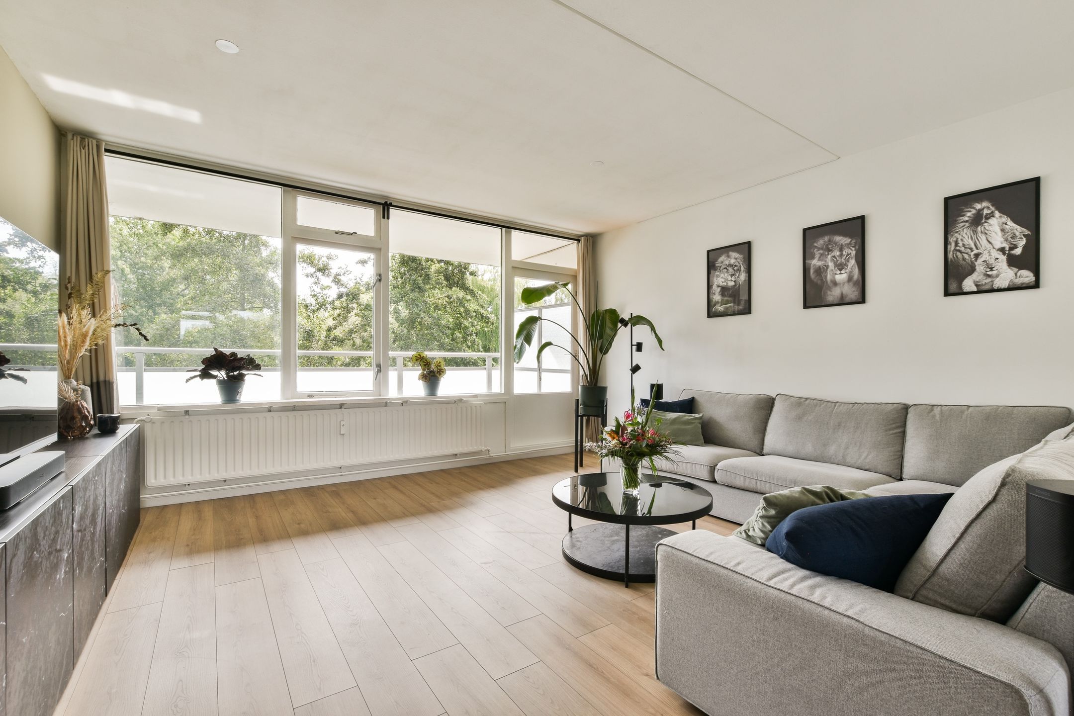 Foto 6 van Condorhorst 36