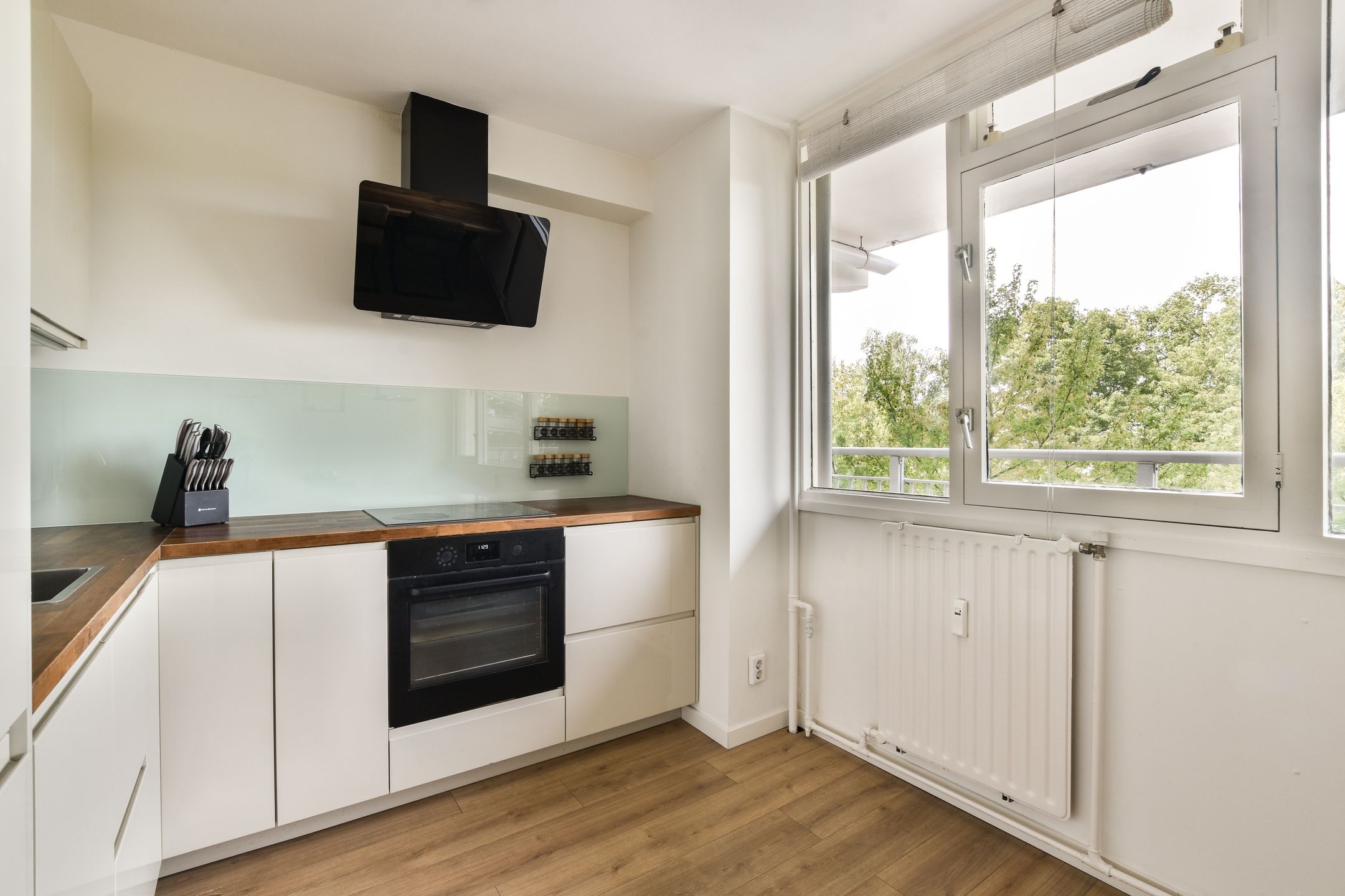 Foto 12 van Condorhorst 36