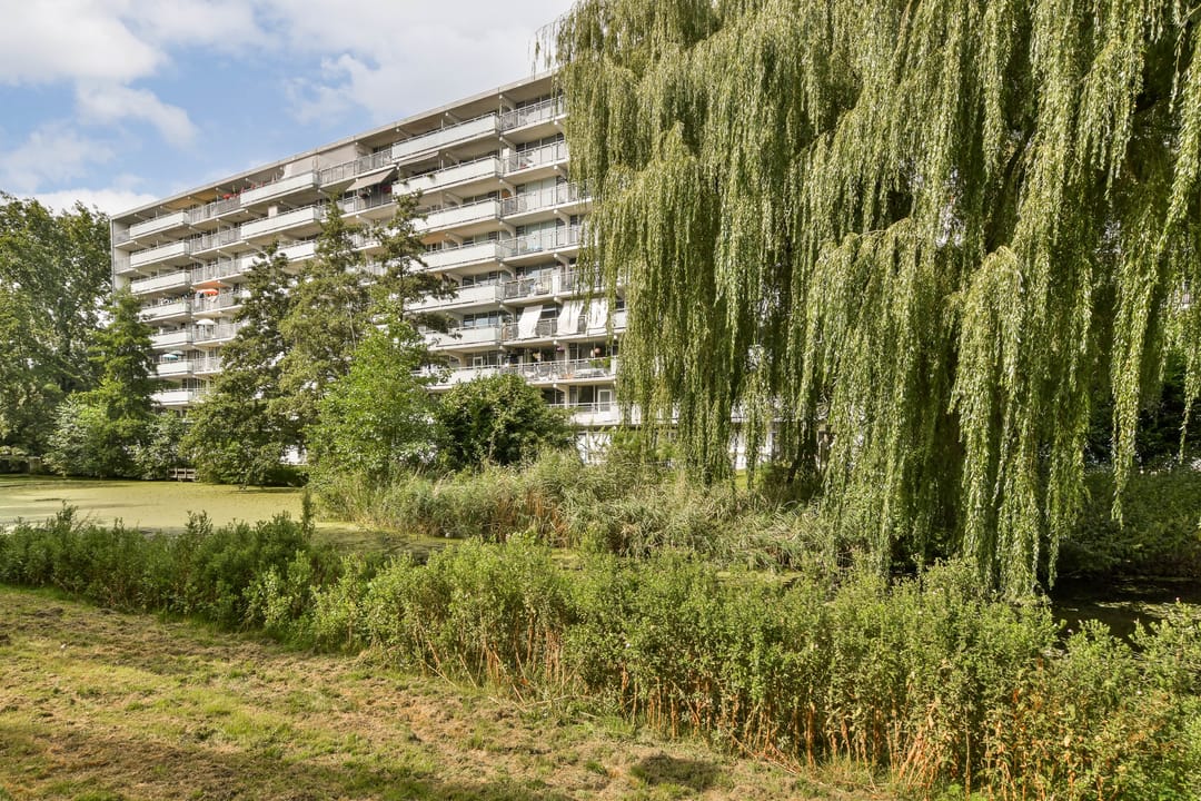 Foto 26 van Condorhorst 36