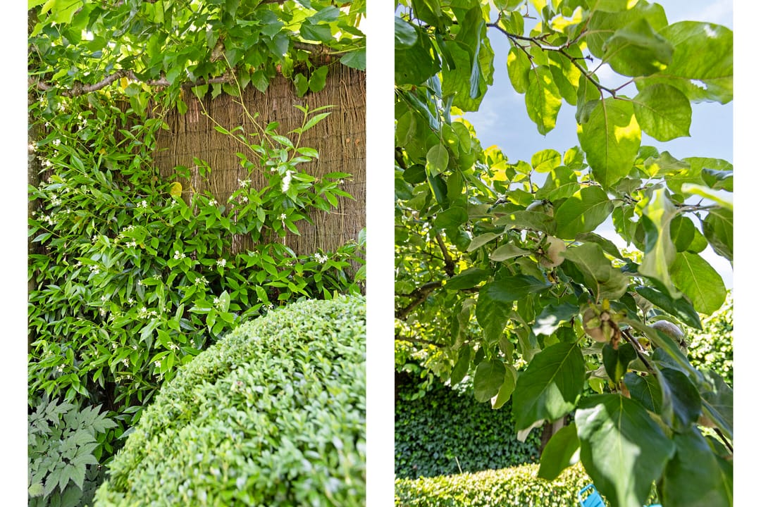 Foto 26 van Doornhoecklaan 35