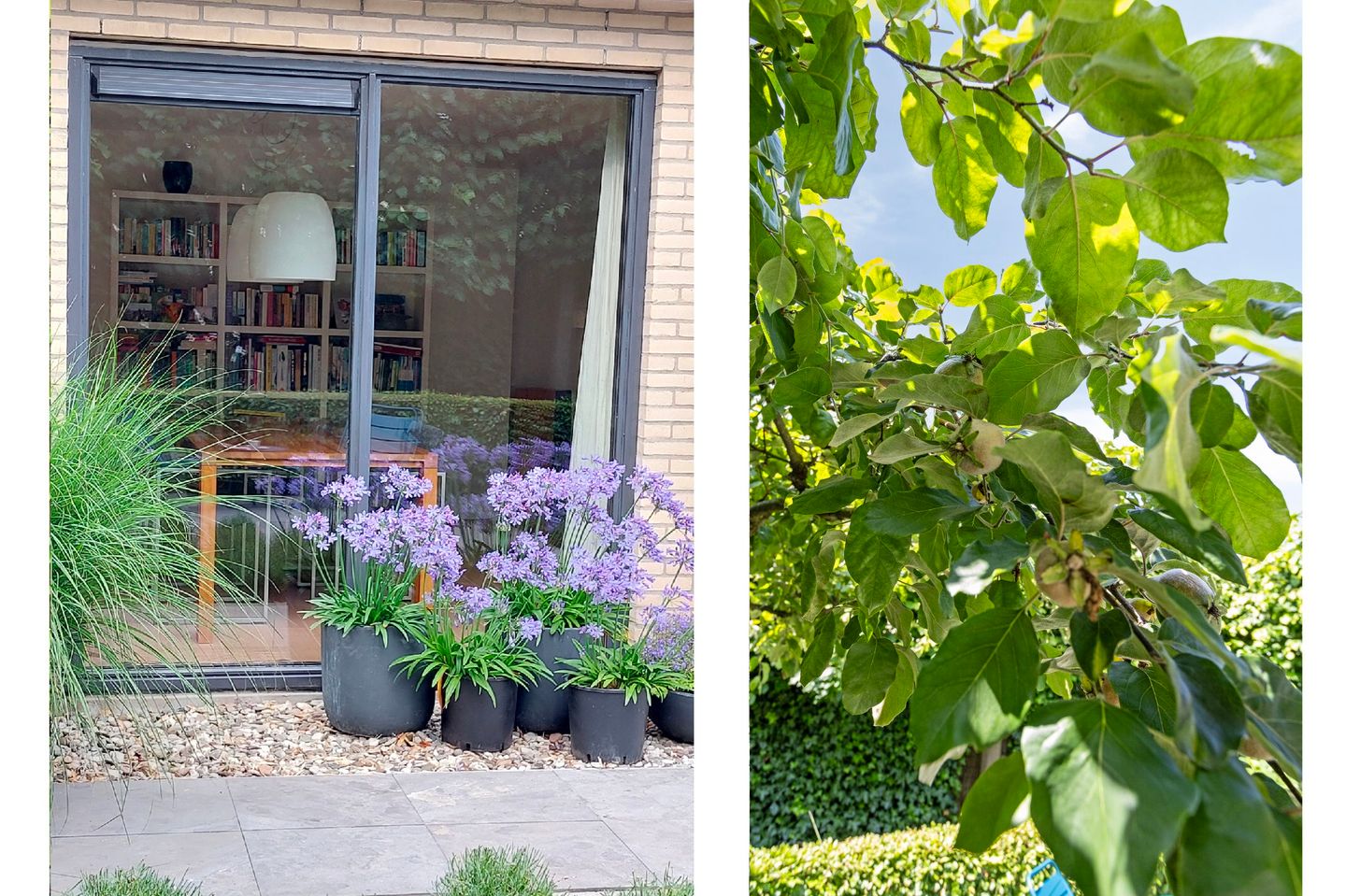 Foto 29 van Doornhoecklaan 35