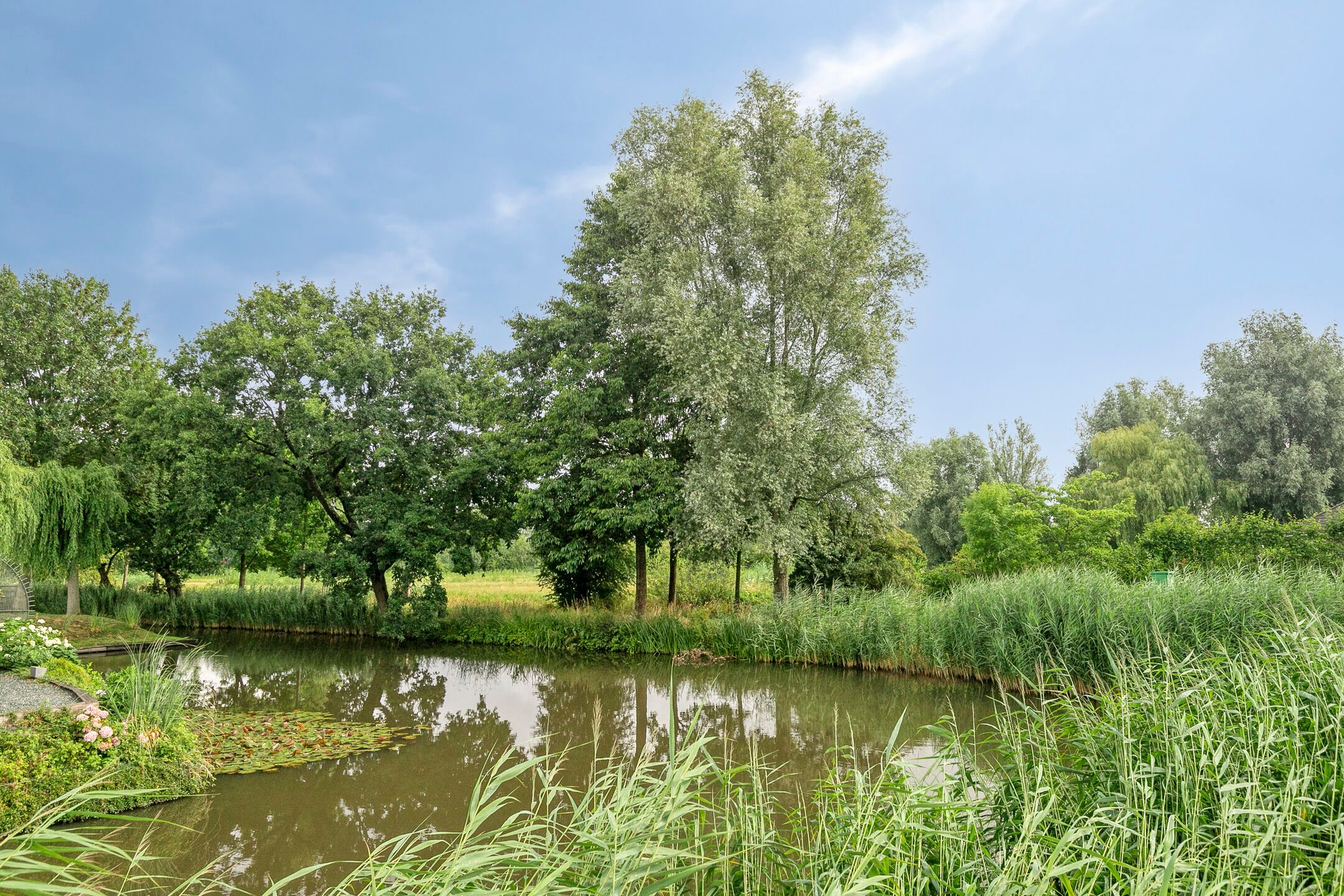 Foto 33 van Doornhoecklaan 35