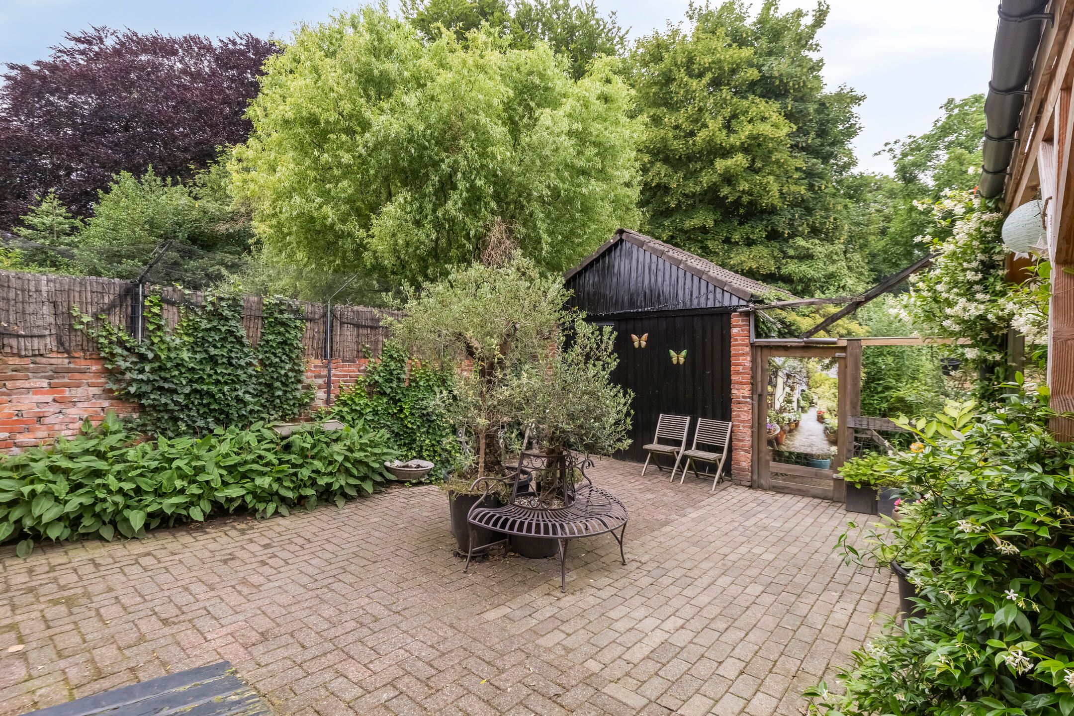 Foto 36 van Noorderstraat 261