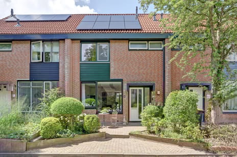 undefined main image