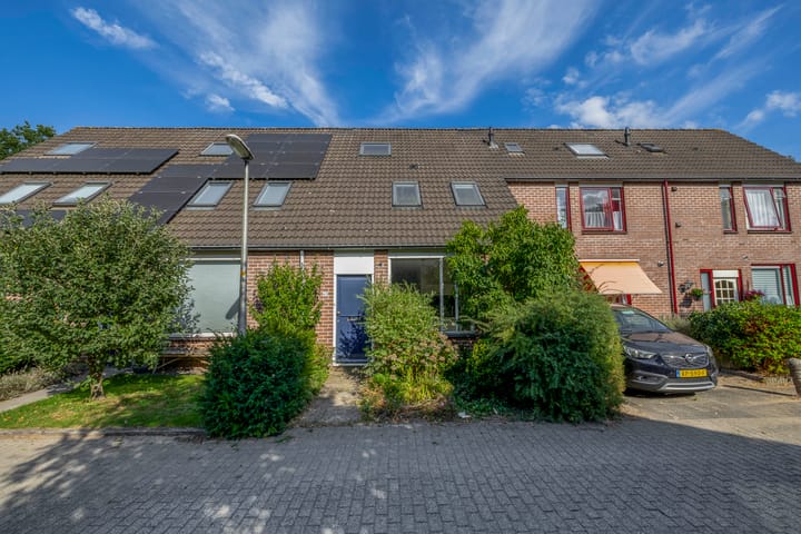 Foto 1 van Vlaamse gaai 43