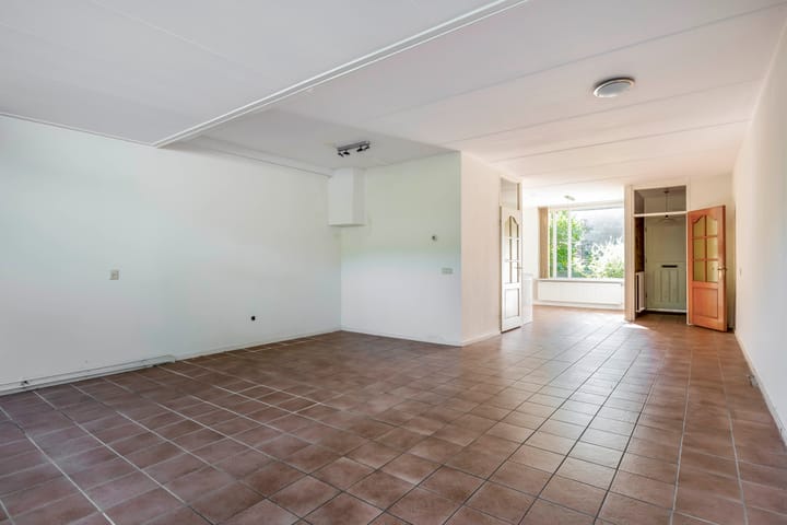 Foto 3 van Vlaamse gaai 43