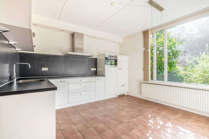 Foto 4 van Vlaamse gaai 43