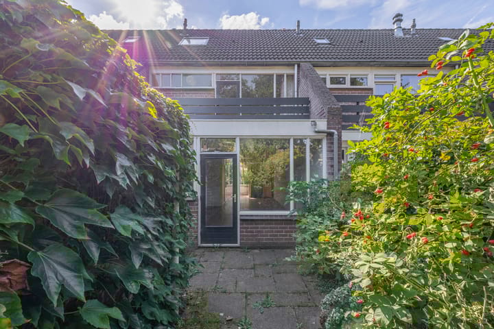 Foto 5 van Vlaamse gaai 43