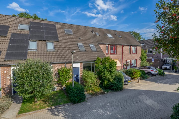 Foto 6 van Vlaamse gaai 43