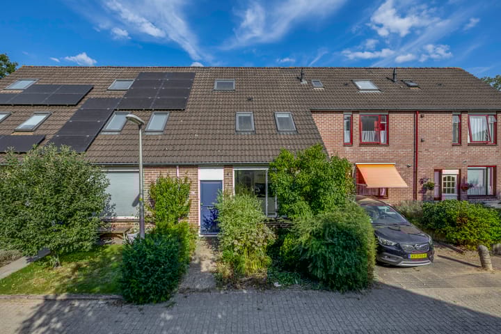 Foto 7 van Vlaamse gaai 43