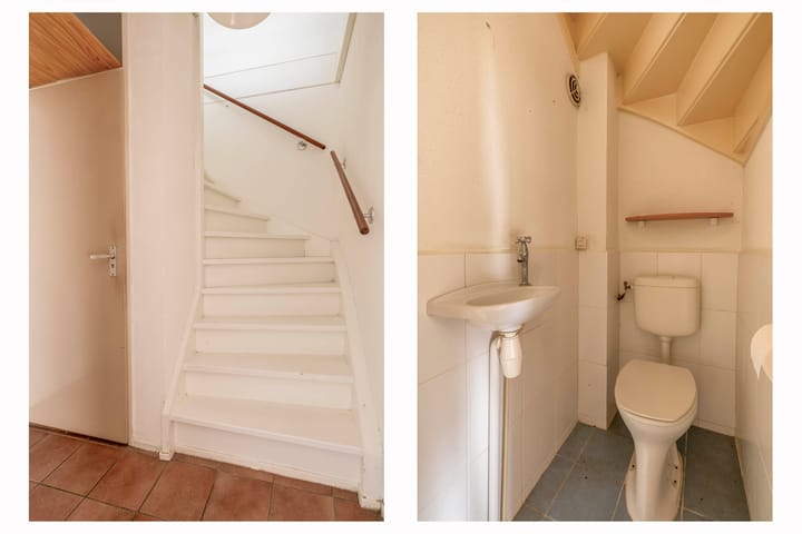 Foto 8 van Vlaamse gaai 43