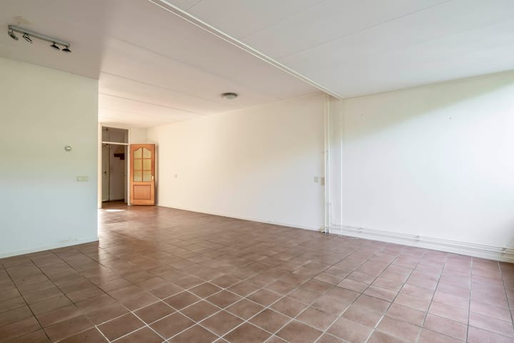 Foto 12 van Vlaamse gaai 43