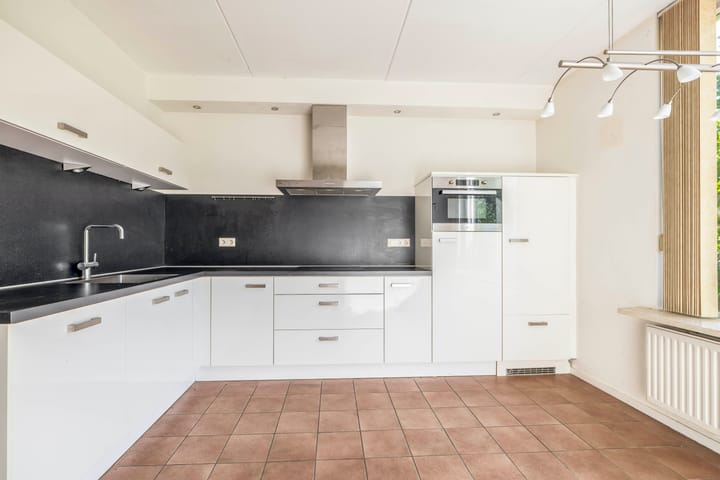 Foto 13 van Vlaamse gaai 43