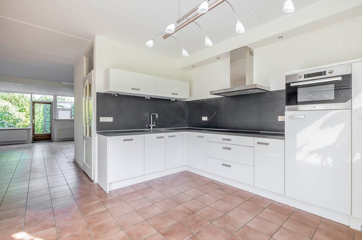 Foto 15 van Vlaamse gaai 43