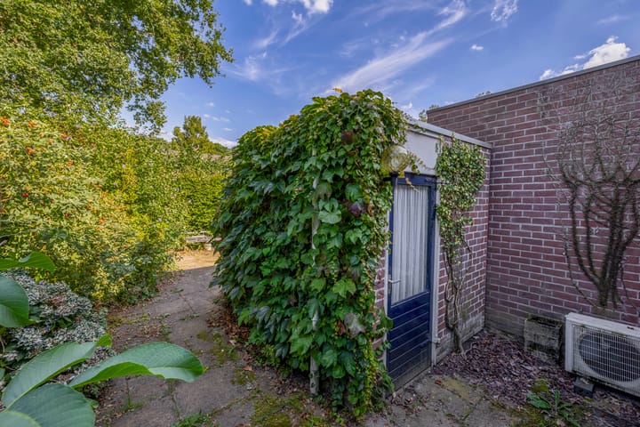 Foto 16 van Vlaamse gaai 43