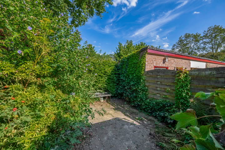 Foto 17 van Vlaamse gaai 43