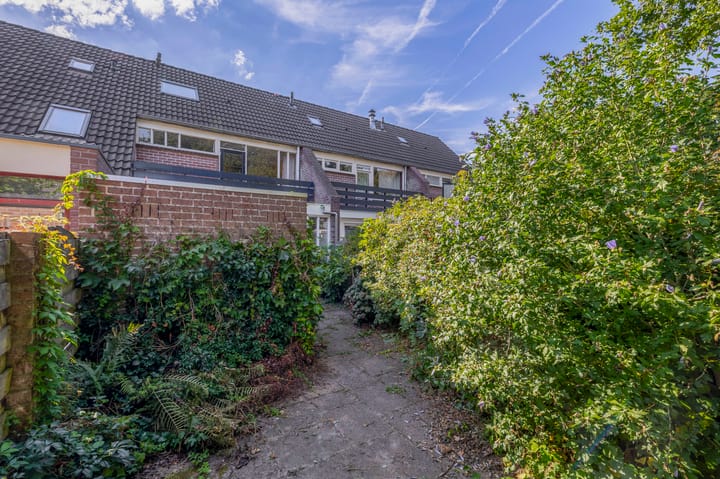 Foto 18 van Vlaamse gaai 43