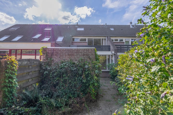 Foto 19 van Vlaamse gaai 43