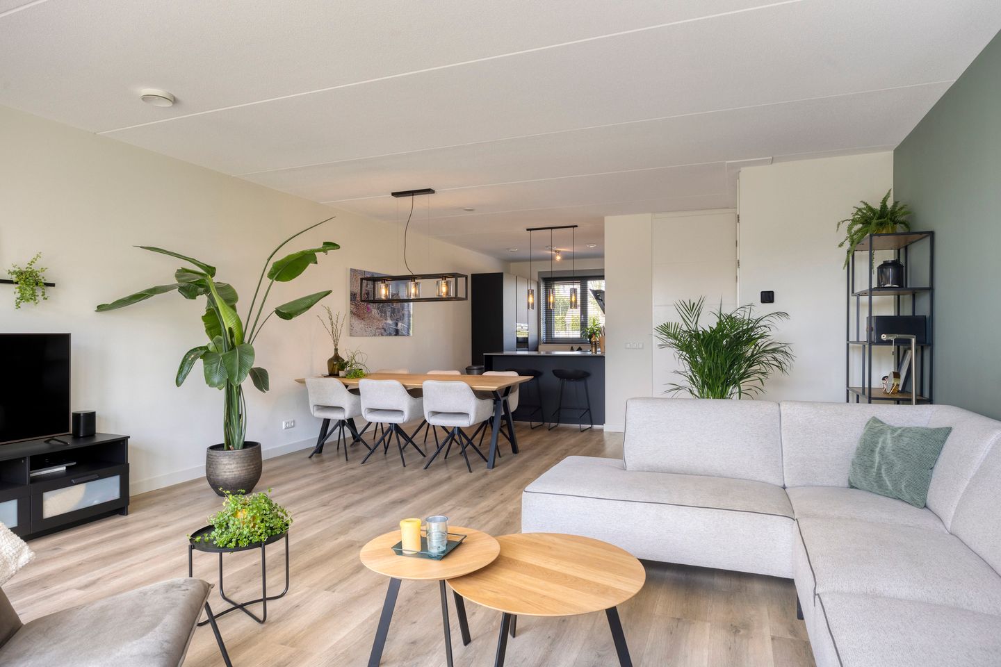 Photo 5 of Cambara 25