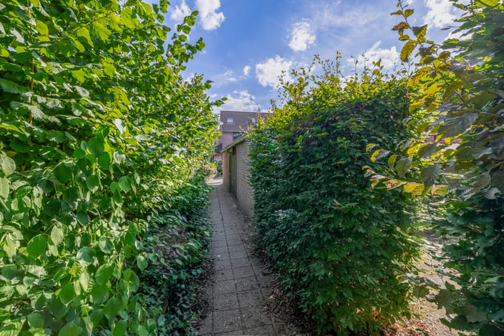 Foto 20 van Vlaamse gaai 43