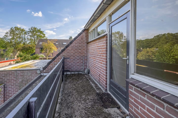 Foto 25 van Vlaamse gaai 43