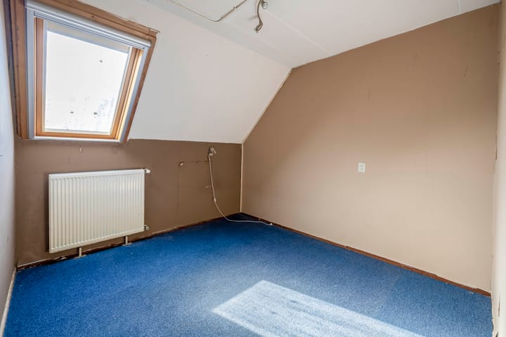 Foto 27 van Vlaamse gaai 43