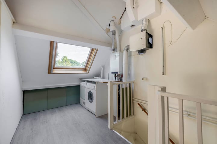 Foto 31 van Vlaamse gaai 43