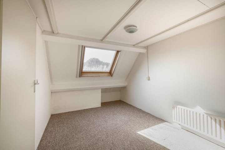 Foto 33 van Vlaamse gaai 43