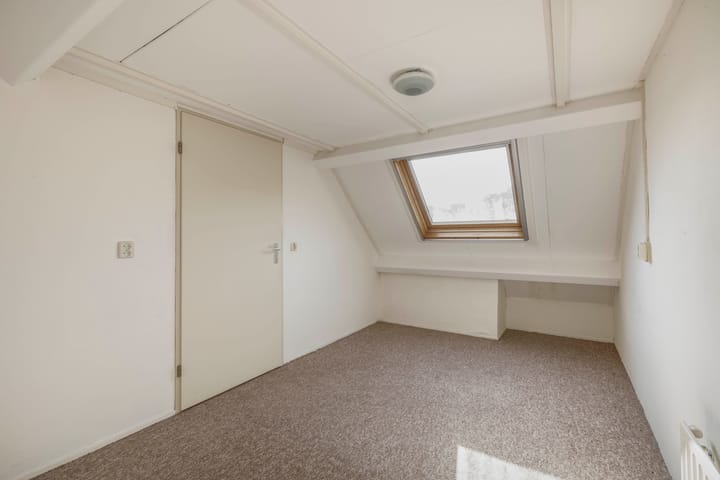 Foto 34 van Vlaamse gaai 43