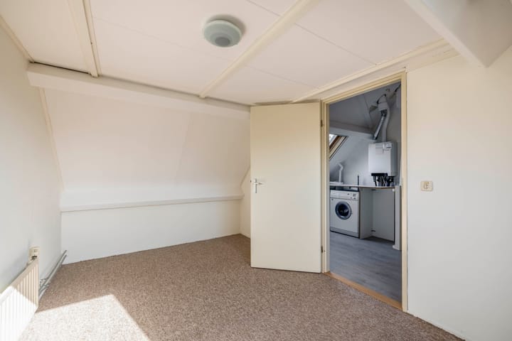 Foto 35 van Vlaamse gaai 43