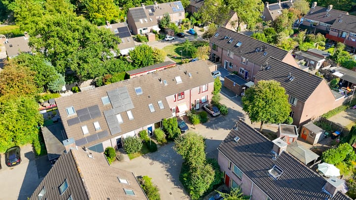 Foto 36 van Vlaamse gaai 43