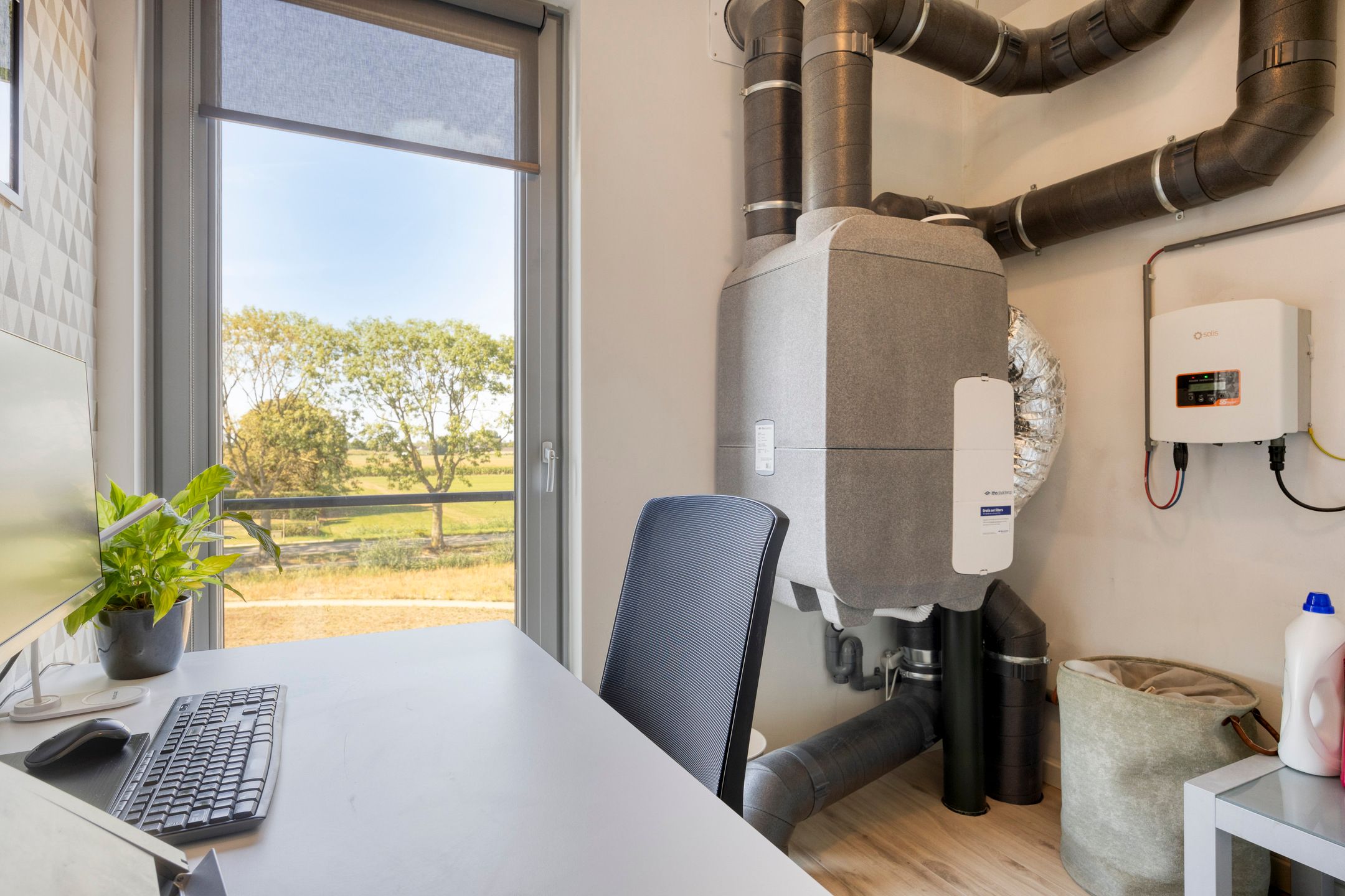 Photo 27 of Cambara 25