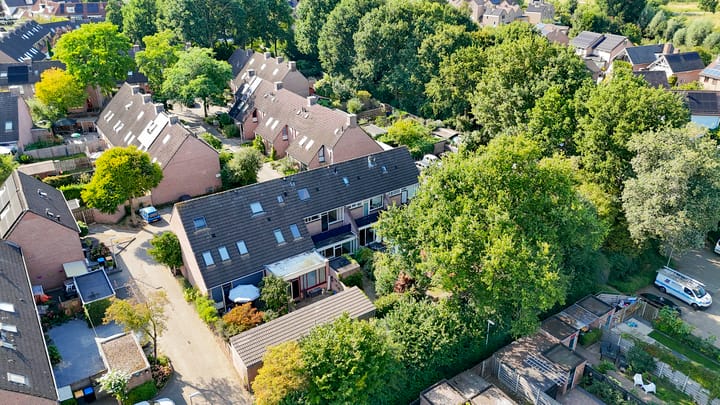 Foto 38 van Vlaamse gaai 43