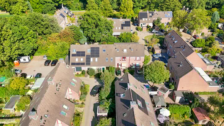 Foto 39 van Vlaamse gaai 43