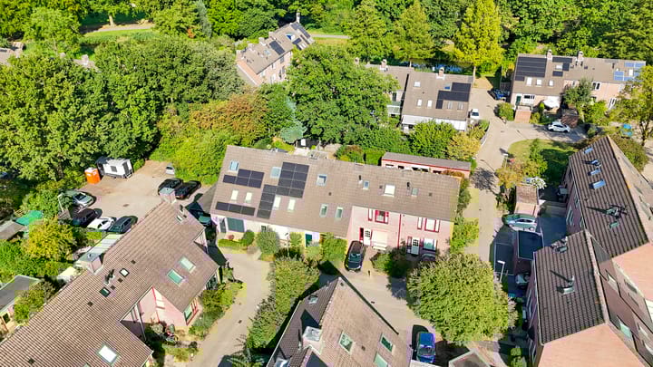 Foto 40 van Vlaamse gaai 43